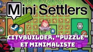 Miniature : Mini Settlers : Découverte