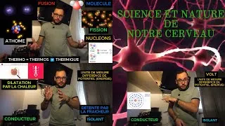 Miniature : Les Sciences et nature de notre cerveau - L-Psycho