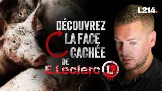 Miniature : La face cachée de E.Leclerc