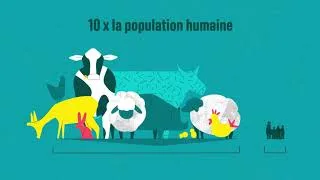 Miniature : NOURRIR L'HUMANITÉ / Les chiffres-clés de l'élevage, viande et consommation d'animaux en France