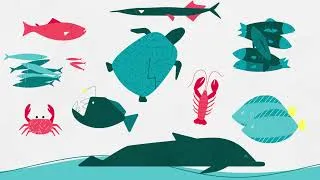 Miniature : NOURRIR L'HUMANITÉ / À propos des poissons, pêche et pisciculture pour l'alimentation