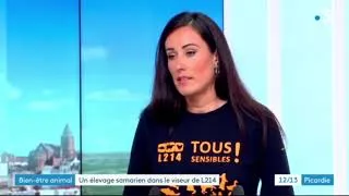 Miniature : FR 3 Picardie / Un élevage samarien dans le viseur