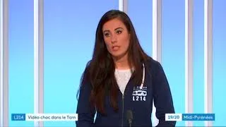 Miniature : Video choc dans le Tarn - élevage de cochons - France 3 Midi-Pyrénées du 12 avril 2018