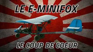 Miniature : Essai du E-MINIFOX, Eurofly