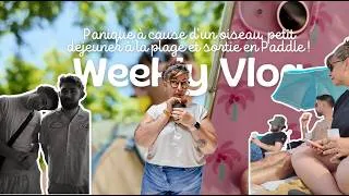 Miniature : VLOG #54 | Sauvetage insolite, routine sport & petit-déj paddle à la plage