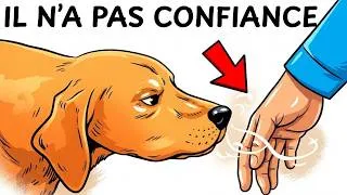 Miniature : Comment les chiens détectent les "mauvaises" personnes (Preuves Scientifiques)