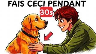 Miniature : Fais CECI 30 secondes avant de partir et ton chien sera serein toute la journée