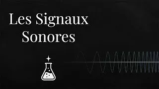 Miniature : 🔊 Les Signaux Sonores : Fréquence, Période & Effet Doppler — Niveau 3ème