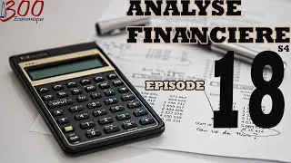 Miniature : La 300 Economique : analyse financière S4 #Episode18 Analyse par la méthode des ratios