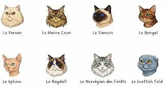 Miniature : Chaque Type de Chat Expliqué en 8 Minutes