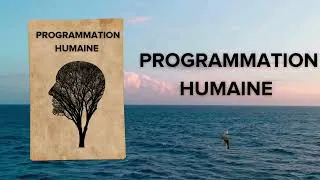 Miniature : Programmation Humaine