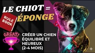 Miniature : Pourquoi les quatre premiers mois suivant l'adoption de chiot sont déterminants ? #pourquoi #chiens