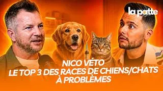 Miniature : LA PATTE - LE TOP 3 DES RACES DE CHIEN À PROBLÈMES !