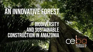 Miniature : An innovative forest – Biodiversity and sustainable construction in Amazonia