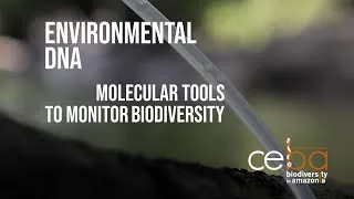 Miniature : Environmental DNA – Molecular Tools to Monitor Biodiversity