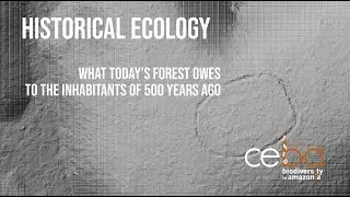 Miniature : Historical Ecology – What Today’s Forest Owes to the Inhabitants of 500 Years Ago