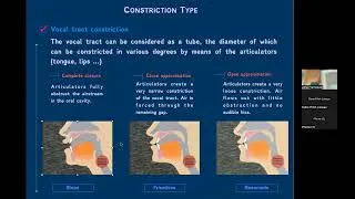 Miniature : Johan Verhoeven 4 : Asymmetries in the articulation of English speech sounds.