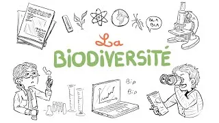 Miniature : Techniques Scientifiques - La biodiversité