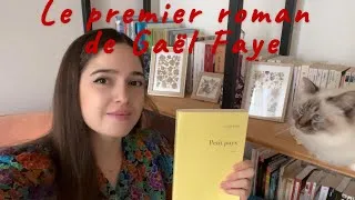 Miniature : Découvrez le premier roman de Gaël Faye, Petit pays, sur le génocide au Rwanda
