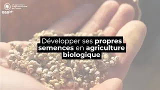 Miniature : Développer ses propres semences en agriculture biologique