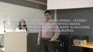 Miniature : Répercussions transfrontalières de sortie du nucléaire sur le réseau électrique européen