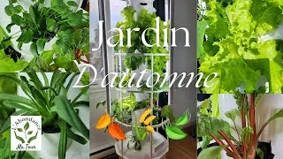 Miniature : C'est le temps de préparer tes cultures pour l'hiver prochain#labondancematour#tourjardinaeroponique