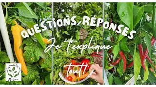 Miniature : #L'Abondance ma Tour Je répond à toutes tes questions sur la Tower Garden. #gardening #towergarden