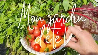 Miniature : L'Abondance ma Tour: Présentation pour le marché virtuel De tout pour tous.#jardinage #garden #Tower