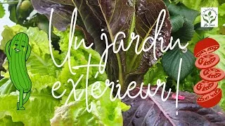 Miniature : L'Abondance ma Tour Mes tours jardins à l'extérieur. Profitons de l'été! #garden #astuces #nettoyage