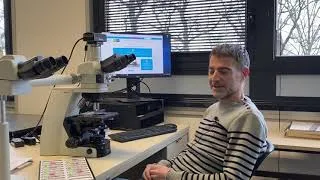 Miniature : 3' LabO - Introduction à l'immunohistochimie