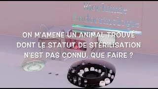 Miniature : 3' Labo - Est il stérilisé ?