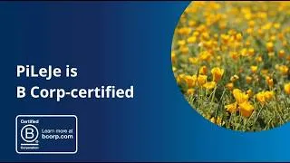 Miniature : PiLeJe è certificata B Corp