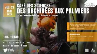 Miniature : Café des Sciences: Des orchidées aux palmiers, ce que l’ADN nous révèle sur l’évolution des plantes