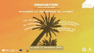 Miniature : Les fibres de palmiers et leurs propriétés biomécaniques