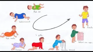 Miniature : Développement psychomoteur de votre enfant. Vidéo 1: Le passage de la position allongée à debout