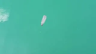Miniature : Portrait d'une bouteille en plastique - Science Invaders