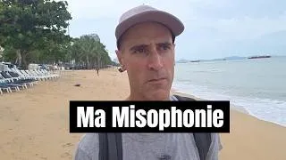 Miniature : Ma Misophonie