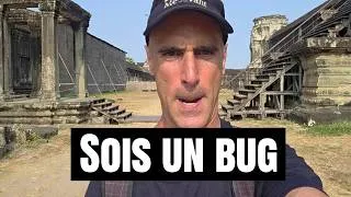 Miniature : Pourquoi et comment devenir un BUG dans la MATRICE ?