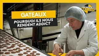 Miniature : Pourquoi les gâteaux nous rendent addicts ? Défis Cobayes