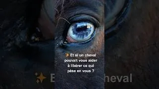 Miniature : ✨ Replay Conférence :  Découvrez la Constellation Familiale Équine ✨