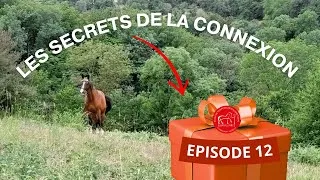 Miniature : Reportage Episode 12 !! " les secrets de la connexion et de la décontraction avec votre cheval"