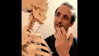 Miniature : Pas moyen d’avoir la paix??? #gestiondustress #monvoisin #puissancementale #puissant #paix