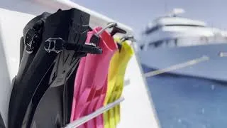 Miniature : Croisière Shark Rebreathers - Égypte 2024