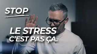 Miniature : Stress? Anxiété? Peur? Quelles Différences?