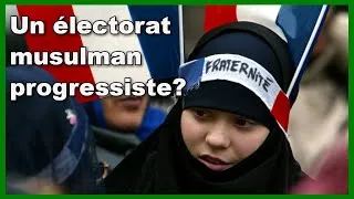 Miniature : Sociologie électorale: existe-t-il des musulmans de gauche en France?