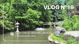 Miniature : Vlog n°19 || Pairi Daiza, brevet et jardin 👩‍🎓🌿