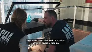 Miniature : Titanic : le parcours des objets, des abysses aux vitrines de La Cité de la Mer