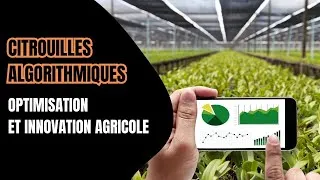 Miniature : Citrouilles algorithmiques : optimisation et innovation technologique