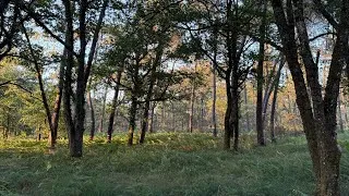 Miniature : PAINTBALL LA CONFRÉRIE - DRONE FPV 🚁