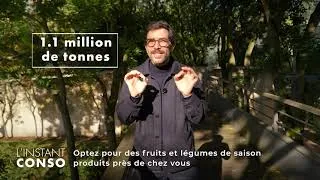 Miniature : Découvrir la filière Tomates d'Aquitaine de Terre du Sud